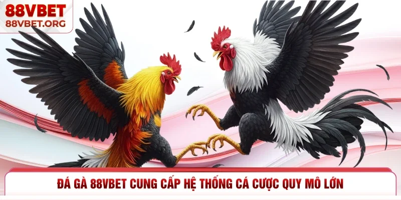 Đá gà 88vbet cung cấp hệ thống cá cược quy mô lớn