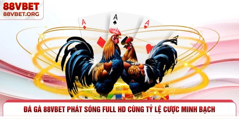 Đá gà 88vbet phát sóng Full HD cùng tỷ lệ cược minh bạch