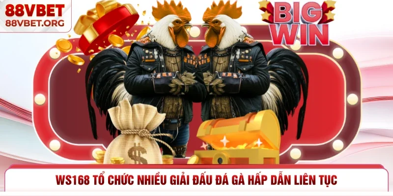 WS168 tổ chức nhiều giải đấu đá gà hấp dẫn liên tục